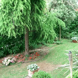 Bed & Breakfast Casa Boscolo, Piove di Sacco